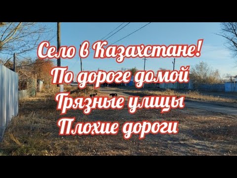 Видео: Казахстан!Ремонт,обшивка стены/Теплый октябрь/Где я работаю/Готовлю для семьи/Мама помощница/Семья!