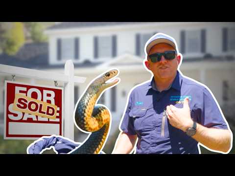 Видео: СМЕРТЕЛЬНАЯ ЗМЕЯ Просто нужен агент по недвижимости