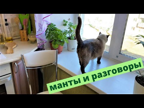Видео: Готовлю манты. Мясо не хотела, но поела.