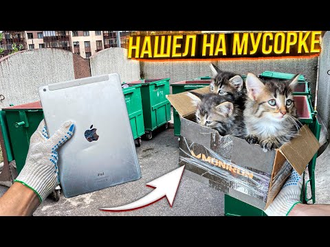 Видео: Как я зарабатываю лазая по мусоркам Питера ? Dumpster Diving RUSSIA #6