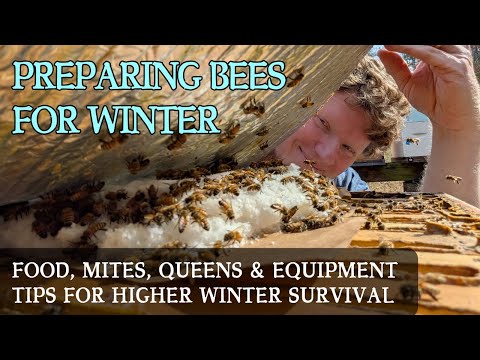 Видео: Успешные стратегии зимовки для повышения выживаемости медоносных пчел