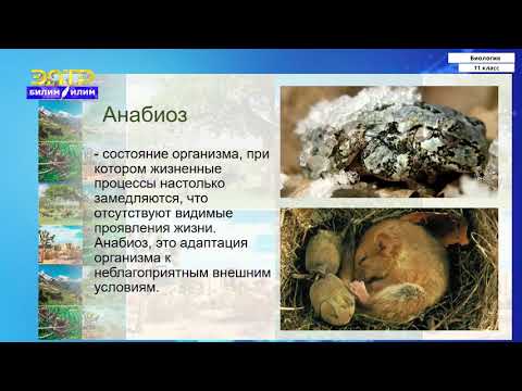 Видео: 11-класс | Биология | Абиотические факторы среды и их влияние на живые организмы