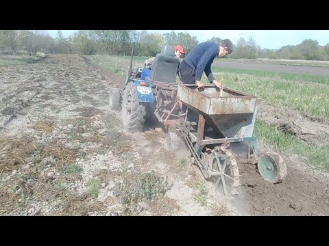 Видео: Посадка, картоплі сажалкою!