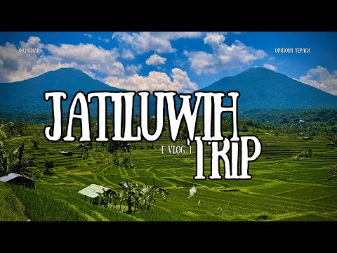 Видео: Оризовите Тераси Джатилуи | JATILUWIH
