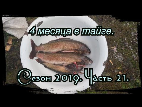 Видео: 4 месяца в тайге. Серия 21 розыгрыш))) Рыбалка на хариуса, тайменя.