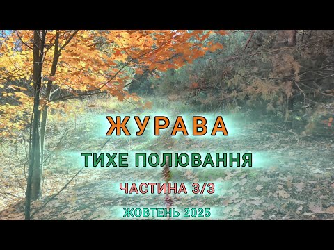 Видео: • Акт III: Маслята контратакують🙂• 26.10.25 •