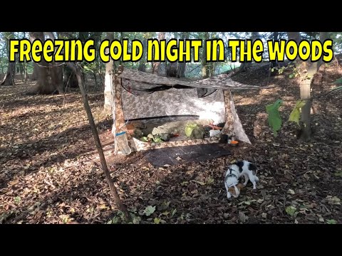 Видео: морозная ночь в лесу, ночуем в палатке пекаря