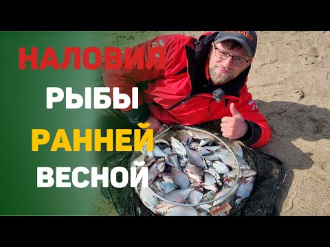 Видео: наловил рыбу ранней весной