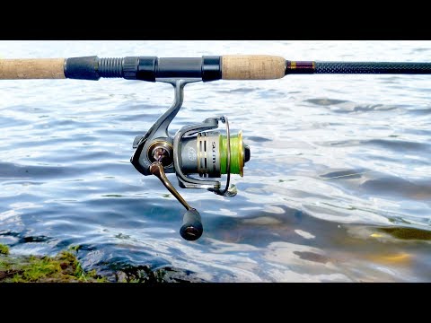 Видео: Самые лучшие и популярные ФИДЕРНЫЕ МОНТАЖИ. Часть 2.