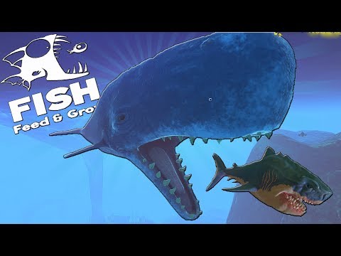 Видео: КИТ КАШАЛОТ ОХОТИТСЯ НА МЕГАЛОДОНА | Feed and Grow Fish