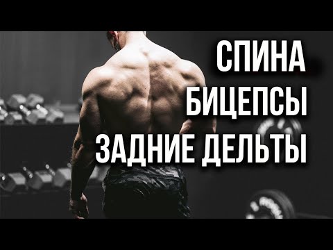 Видео: Лучшая тяговая тренировка для мощного роста мышц (Спина/Бицепсы/Задние дельты)