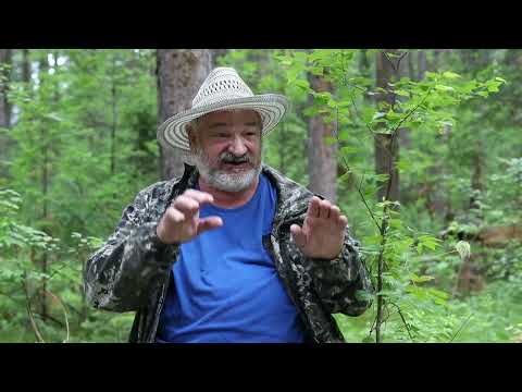 Видео: ХОЗЯЕВА ТАЙГИ. ИВАН КУЖЕЛИВСКИЙ
