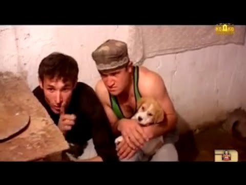 Видео: Порча аз Филми Овораи Ишк Дон жуан протиф Мугамбо чои чангуш 2012 с