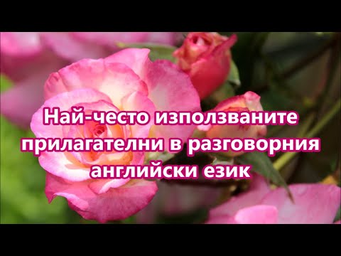 Видео: Уча английски: Най-често използваните прилагателни в АЕ + FREE PDF #ежедневенанглийски #английски