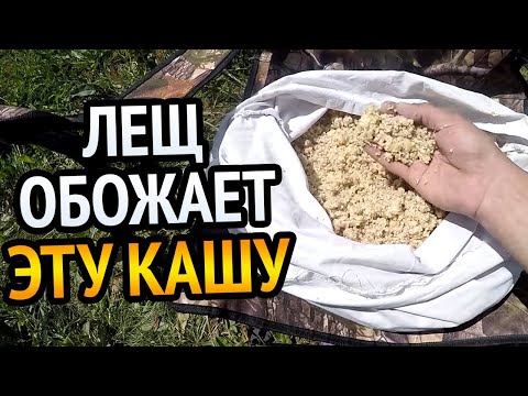 Видео: КАША ДЛЯ ЛОВЛИ ЛЕЩА. ЛЕЩ мимо неё не пройдёт. Каша которая не требует длительной варки.