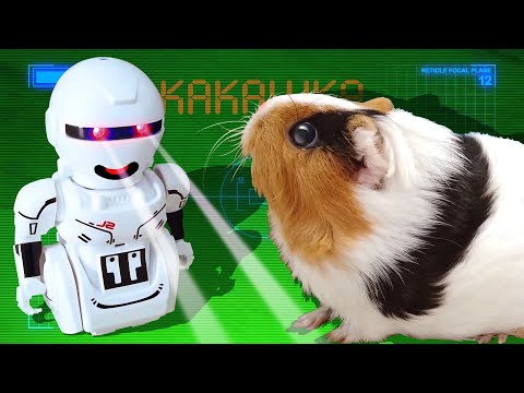 Видео: Свинка Бузя и Няня - Робот! 🤖🐷🏠