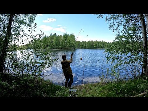 Видео: Рыбалка с Ночёвкой на Фидер-Удочку на Реке!