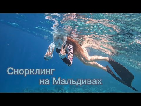 Видео: Снорклинг на Мальдивах 2023. Остров Укулас.
