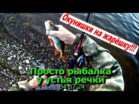 Видео: Просто рыбалка у устья речки 04 07 24