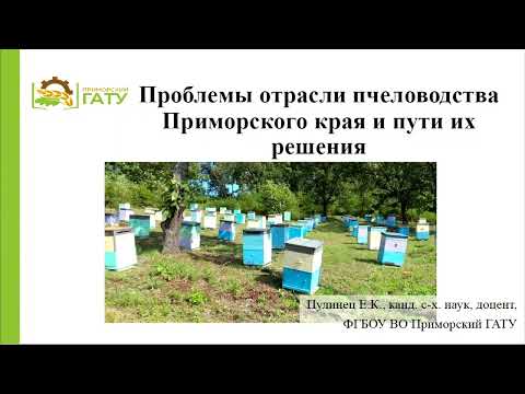 Видео: Проблемы отрасли пчеловодства Приморского края и пути их решения. Пулинец Е.К.