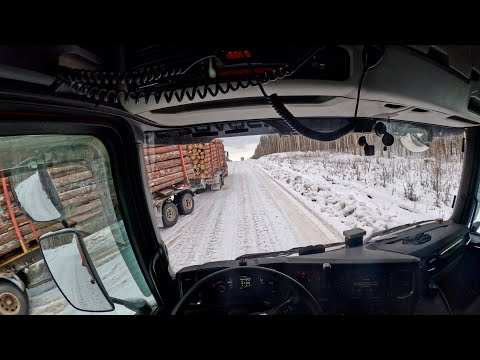 Видео: Тёплая погода. Скользко.