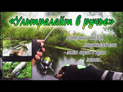 Видео: Ультралайт в ручье - вертушка, воблер, микроколебалка - ловля окуня и щуки летом