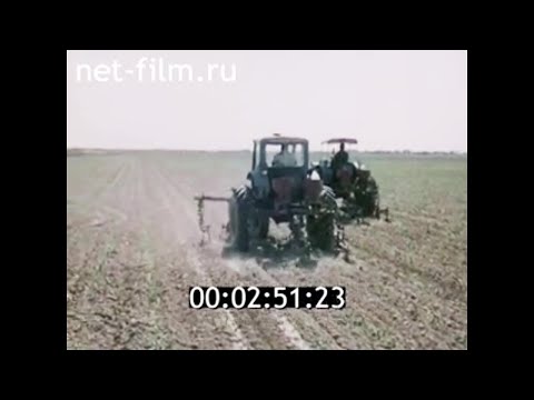 Видео: 1978г. Каракумский канал. Туркменистан.