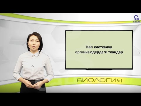 Видео: Биология 9 класс 27 сабак