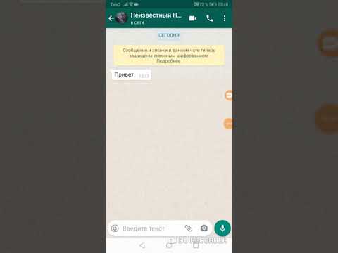 Видео: Переписка С Даша кошкиной! Она фейк? 😒😱