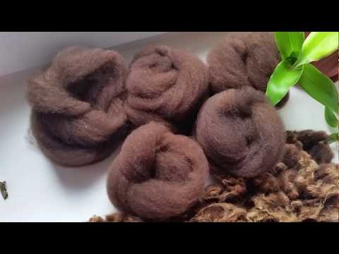 Видео: Вытягиваем ровницу из овечей шерсти.