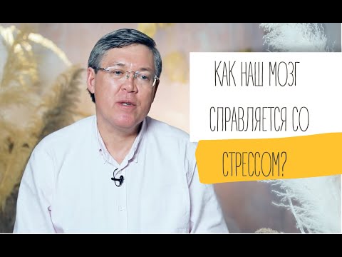 Видео: КАК НАШ МОЗГ СПРАВЛЯЕТСЯ СО СТРЕССОМ? ВЯЧЕСЛАВ ДУБЫНИН