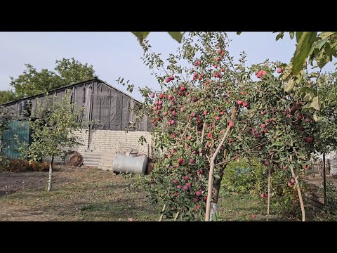 Видео: В деревне в октябре 