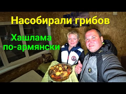 Видео: Готовим ХАШЛАМУ по-армянски. Сходили в лес за грибами.