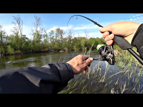 Видео: РУКИ ДРОЖАЛИ КОГДА Я ЕГО ВЫТАЩИЛ!! КРУПНЯК РАЗГИБАЕТ КРЮЧКИ! Рыбалка на спиннинг.