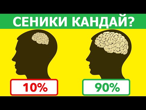 Видео: Сиздин мээңиз кандай иштейт👀??? Логикалык суроолор🤪!!!