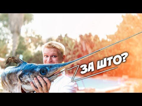 Видео: Рыба-меч с чесночной картошечкой