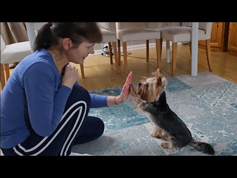 Видео: СТОЛЬКО ВСЕГО ... ЧЁРНАЯ ИКРА В НОРВЕГИИ ...