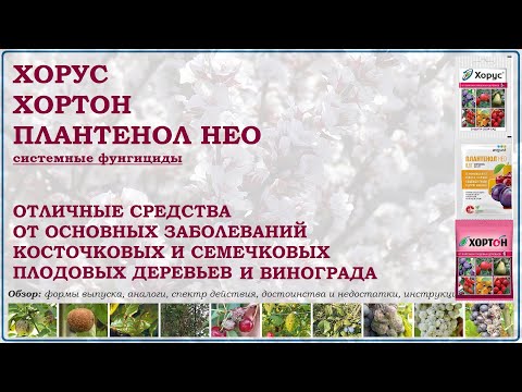 Видео: Хорус, Плантенол Нео и Хортон - отличные средства от болезней плодовых деревьев и винограда. Обзор