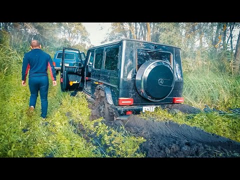 Видео: ЧТО МОЖЕТ ГЕЛИК против JEEP WRANGLER , TOYOTA LC 200 , TOYOTA PRADO , НИВА в OFFROAD
