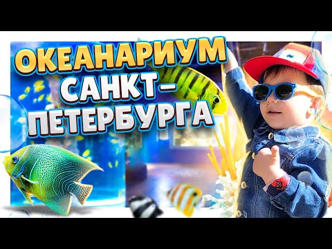 Видео: Санкт-Петербург ! Океанариум в ТРК "Планета Нептун" в центре города. #спб #Питер #океанариум