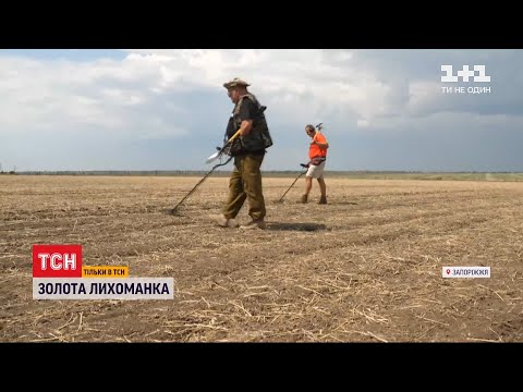 Видео: "Золота лихоманка": чому "чорні археологи" відмовляються продавати знайдене золото державі