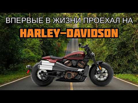 Видео: Стоит ли брать самый дешевый ХАРЛЕЙ?