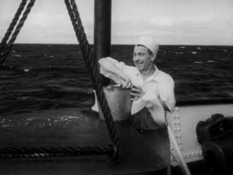 Видео: Промышленный озёрный порт (США, Буффало, штат Нью-Йорк, 1949)