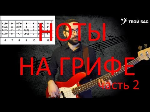 Видео: Ноты на грифе бас гитары (часть 2)