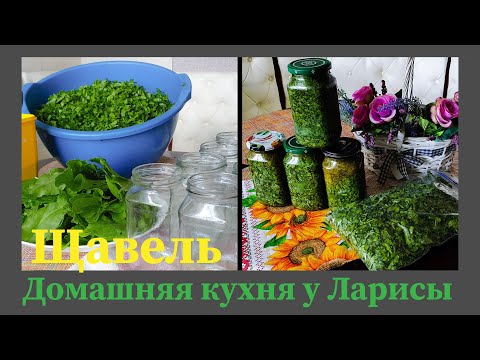 Видео: Заготовка щавеля на зиму