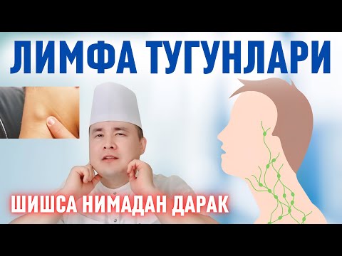 Видео: ЛИМФА ТУГУНЛАРИ ШИШСА ХАВФЛИМИ? НИМА КАСАЛЛИКДАН ДАРАК БЎЛАДИ, НЕГА КЕРАК ЎЗИ?