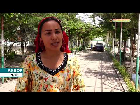 Видео: Боз ноҳияи Ҷомӣ