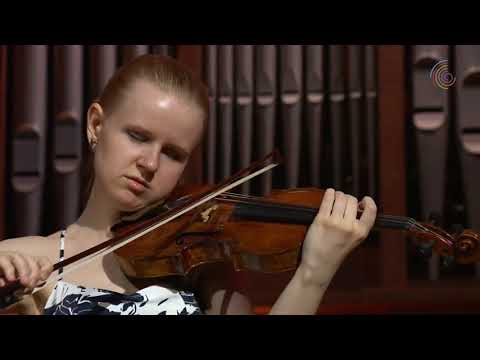 Видео: Бах: Чакона из Партиты для скрипки соло ре минор BWV 1004