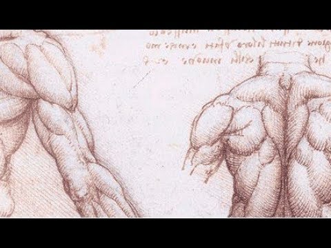 Видео: МЫШЕЧНЫЕ ГРУППЫ - КРУПНЫЕ и МЕЛКИЕ - КАКИЕ ЛЕГЧЕ ПЕРЕТРЕНИРОВАТЬ и ЧЕМ ЭТО ГРОЗИТ