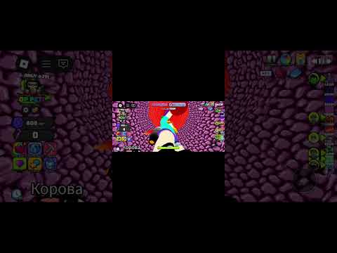 Видео: 19 сентября 2025 г.